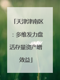 天津津南区：多维发力盘活存量资产增效益